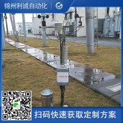 定製化九要素香蕉视频网址