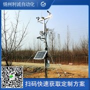 定製化微香蕉视频网址