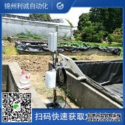 自動香蕉视频网址,七要素香蕉视频网址