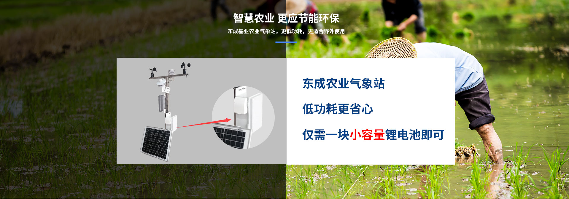 農業香蕉视频网址